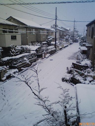 雪1.JPG
