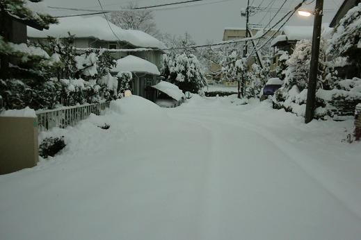 雪3.JPG